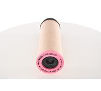 BOSCH F 026 400 210 Filtro aria secondaria