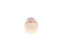 Bosch F3169 - Filtro Benzina
