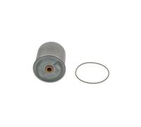 BOSCH F 026 407 060 Filtro olio per IRISBUS,RENAULT TRUCKS