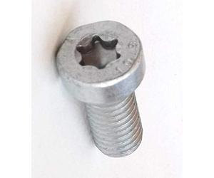 Bosch F01M100684 SH Cap Vite Torx