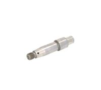 Bosch F01M100949 FDO Albero A Eccentrico,