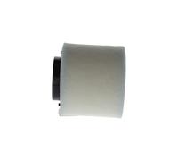 BOSCH Filtro aria AUDI 3,0 2,7 8K0133837B 8K0133843D
