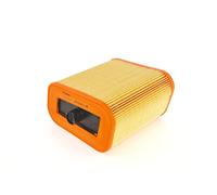 Bosch Filtro Aria per Auto 0 - Trattiene le particelle solide all'esterno della presa d'aria - Resistente all'umidità ed altamente resistente alla trazione