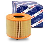 Bosch S0029 - Filtro Aria