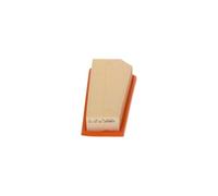 Bosch S0134 - Filtro Aria