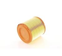 Bosch F026400183 Cartuccia Filtro di Aria