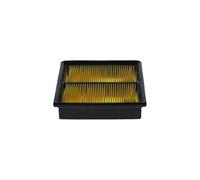 Bosch S3955 - Filtro Aria