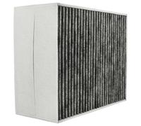 BOSCH FILTRO CARBONE RETTANGOLARE CAPPA ASPIRANTE BOSCH 11033934