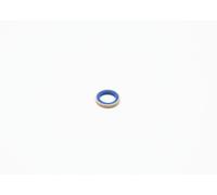 BOSCH Guarnizione Cornice faro principale CF01M101537