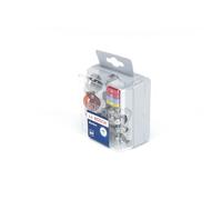 Set di lampade BOSCH H4 Maxibox +P21W R5W T4W PY21W P21/5W W5W C5W 1x15A 1x20A