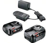 Bosch Home and Garden Starter Set Batteria e caricabatteria da 18 Volt (2x batterie 2,0 Ah + 4,0 Ah, AL 18V-20, sistema Volt, in confezione di cartone)