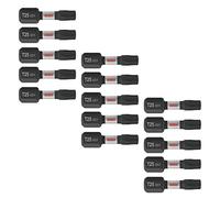 BOSCH ITDT25115 15 pz Driven 1" Impact Torx® #25 Inserti Bit