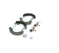 BOSCH Kit ganasce freno 0204114579