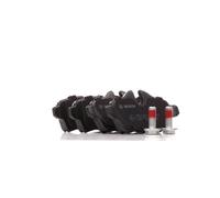 BOSCH Kit pastiglie freni Posteriore per MINI Hatchback (R56) 0 986 494 242