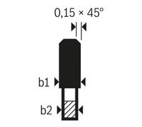 Bosch Lama circolare Expert Stone-Soft, per seghe circolari a tuffo e portatili Quantità:1