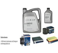 BOSCH Pacchetto Di Ispezione 6L VW LongLife IV FE 0W-20 Per Tiguan Allspace BW2