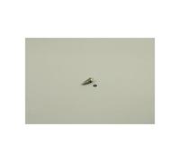 Bosch Pezzo di Ricambio Ttnr : 8738901738 Sensore Temperatura