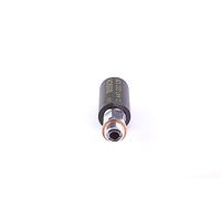 BOSCH Pompa manuale 2447010038