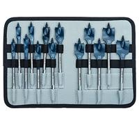 Bosch Professional Set da 13 Pezzi di mecchia a spada Self Cut Speed con codolo esagonale da ¼"