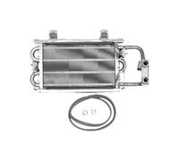 BOSCH Ricambio TTNR: 87154063830 Bruciatore 18kW