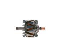 BOSCH Rotore Alternatore 038903213