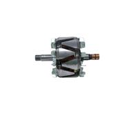 BOSCH Rotore Alternatore 1450803 2TB903213A 51261020011 A0001547915 0001547915