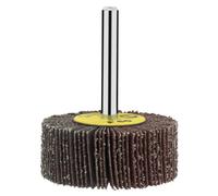 BOSCH Ruote Piatte con 60 Lamelle di Materiale Abrasivo 50 x 20 mm