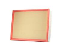 Bosch S0099 - Filtro Aria