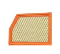 Bosch S0586 - Filtro Aria