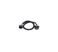 BOSCH Sensore di detonazione BOSC0 261 231 311