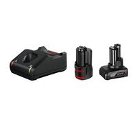 BOSCH STANDARD STARTER kit con 1 batterie da 2.0Ah + con 1 batterie da 4.0Ah +GAL 12V-40 MOD. 1600A01NC9