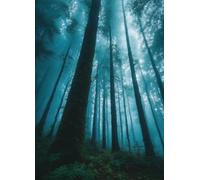 Bosco di nebbia blu Puzzle 700 Pezzi 52x38 cm Puzzle Fai da te,Intrattenimento Creativo - Puzzle Per Adulti E Tutta La Famiglie