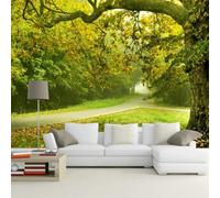 Bosco E Sentiero Verde Fresco E Bello 3D Carta da Parati Tessuto in Seta Ufficio Sala Pranzo Divano Camera Soggiorno TV Sfondo Muro-150cm×105cm