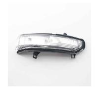 Boshu daili Store Indicatore di direzione dello specchietto Laterale Lato Sinistro e Destro Compatibile con Maxus V90 LDV V90 Compatibile con Delivery 9 LWB e MWB 2020 (Color : Right)