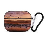Bosque Del Apache - Custodia protettiva per AirPods Pro 2, antiurto, rigida, per donne e uomini, compatibile con custodia Airpod Pro di 2a/1a generazione, con portachiavi, nero