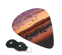 Bosque del Apache Wildlife Refuge - Plettri per chitarra, 6 pezzi, spessore 0,46 mm, in celluloide, con supporto in pelle, plettro personalizzato per basso, chitarra elettrica, acustica, regalo per