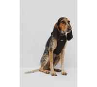 BOSS Pettorina per cani in mesh con righe iconiche - Style Dog Global Stripe Harness, B2FDCH006 Nero XS