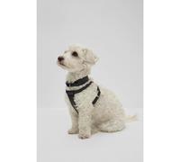 BOSS Pettorina per cani in pelle riciclata - Style Dog Recycled Leather Harness, B2FDCH011 Nero S