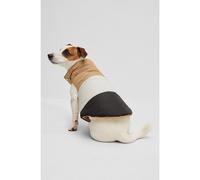 BOSS Piumino reversibile per cani - Style Dog Reversible Puffer Jacket, B2FDAJ004 Nero XL