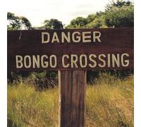 Bossa Nova Beatniks - Danger Bongo Crossing