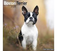 Boston Terrier 2025 Square Wall Calendar | Dog Breed Calendar