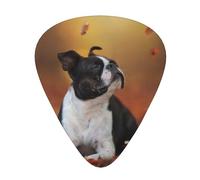 Boston Terrier Autumn Bokeh Cani Cani,12 pezzi di plettri per chitarra, 3 plettri di diverso spessore per chitarra acustica, basso, ukulele