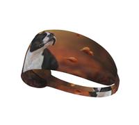 Boston Terrier Autumn Bokeh Cani Cani,Fascia elastica per capelli multiuso unisex, fascia antisudore sportiva
