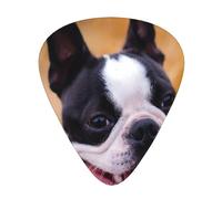 Boston Terrier Bokeh Cani Animali Domestici Boston Terrier,12 pezzi di plettri per chitarra, 3 plettri di diverso spessore per chitarra acustica, basso, ukulele