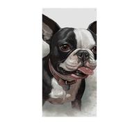 Boston Terrier Copertura per porta primaverile estate da appendere bandiera portico cartello all'aperto stagionale vacanza cortile decorazione per porta d'ingresso e portico