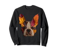 Boston Terrier Foglie Autunno Artistico Cane Art Estetica Autunno Felpa
