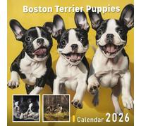 Boston Terrier Puppies Calendar 2026: Compact Cuties with Big Eyes and Bigger Smiles