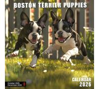 Boston Terrier Puppies Calendar 2026: Compact Cuties with Big Eyes and Bigger Smiles