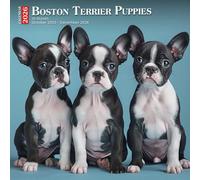 Boston Terrier Puppies Calendar 2026: Compact Cuties with Big Eyes and Bigger Smiles