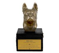 Boston Terrier urne sulla scatola nera Art-Dog